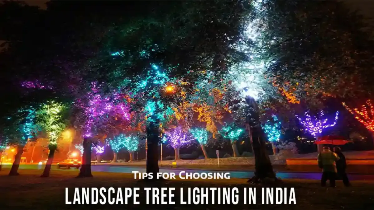 landscape tree lighting india